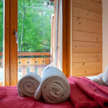 Les Cimes Blanches B 401 By Interhome * Nendaz